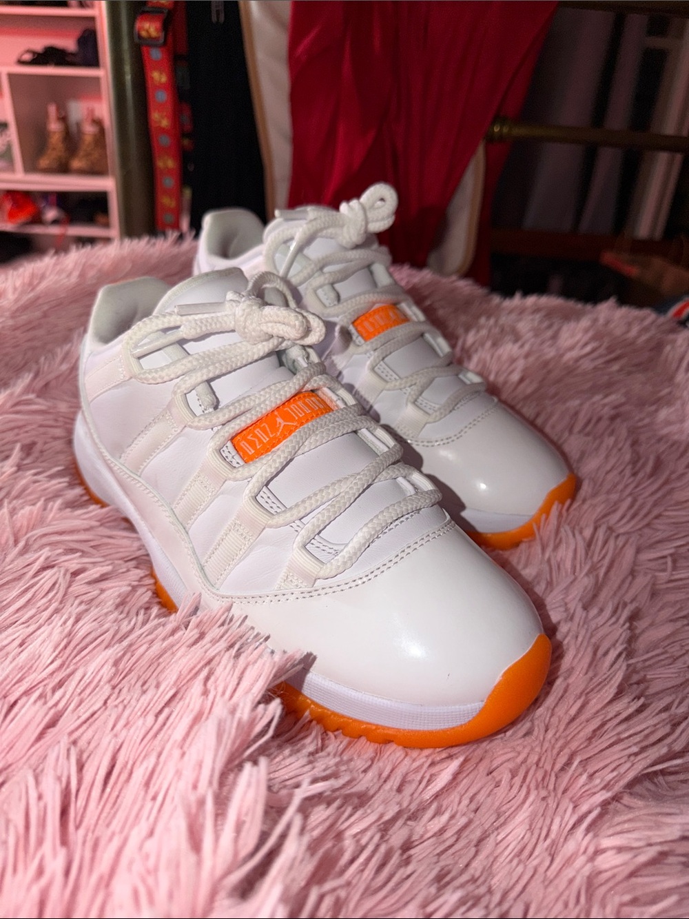 Women’s air jordan 11 lows